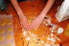 dez_2_weihnachtsplaetzchen_05