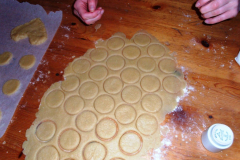 dez_2_weihnachtsplaetzchen_08