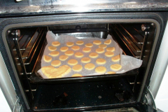 dez_2_weihnachtsplaetzchen_09