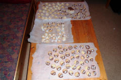 dez_2_weihnachtsplaetzchen_14