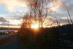 nov_06_spaziergang_04