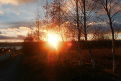 nov_06_spaziergang_07
