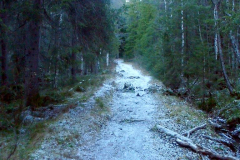 nov_07_spaziergang_1
