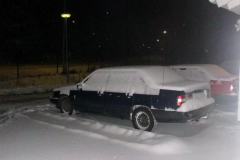 nov_11_schneehase_04