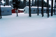 nov_11_schneehase_05
