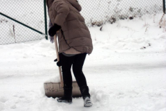 nov_11_schneehase_13