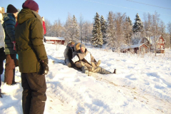 nov_29_hundeschlitten_15