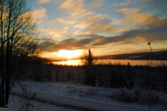 nov_29_hundeschlitten_25