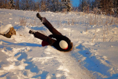 nov_29_hundeschlitten_31