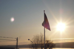 nov_29_hundeschlitten_33