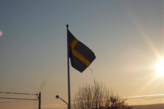 nov_29_hundeschlitten_34
