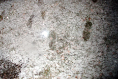 okt_20_schnee10